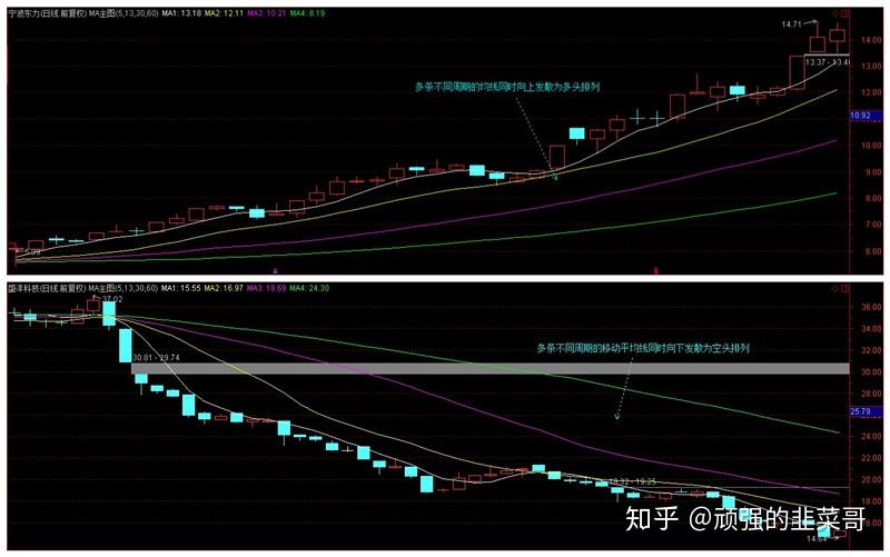 市委政法委召开2025年第1次全体（扩大）会议