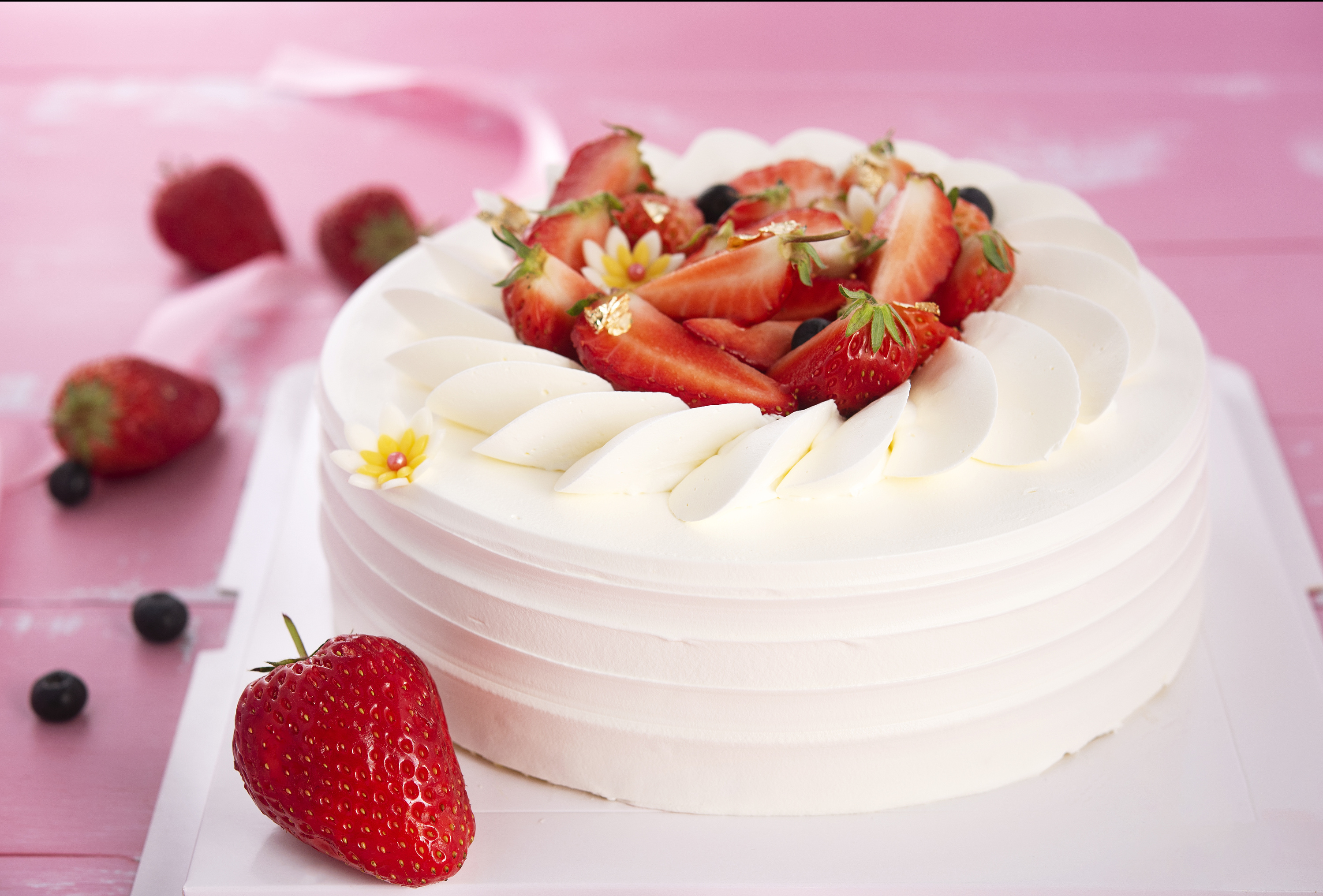 泉州市其他国土绿化项目获中央财政资金支持5423万元