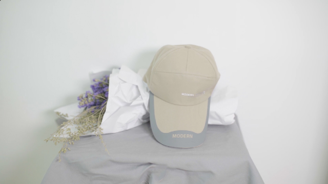 港北区委副书记、区长刘理：凝心聚力谋发展 笃行实干谋新篇