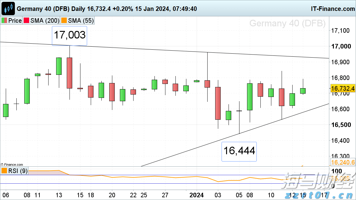 万物共生  和美永续