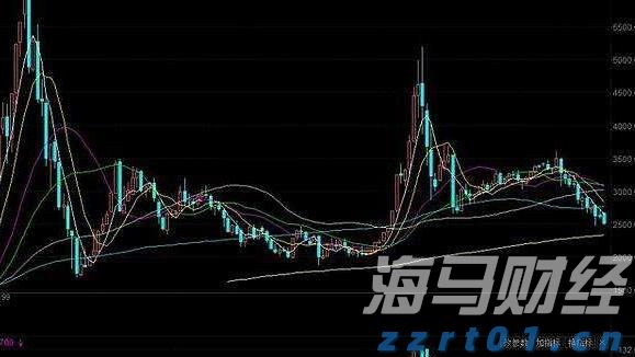 我市组织春季应征女青年上站体检