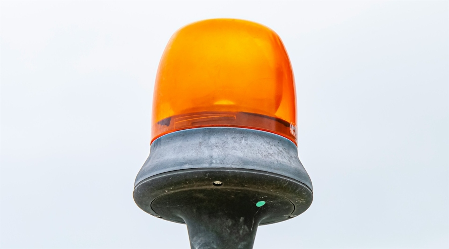 这两个重点时间段是伊蚊叮咬高峰!如何预防?市疾控中心专家解答→